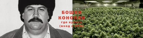 гидропоника Белоозёрский