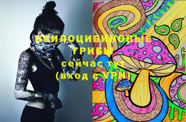 гидропоника Белоозёрский
