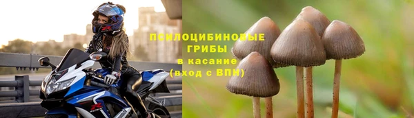 гидропоника Белоозёрский